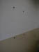 Imagen05