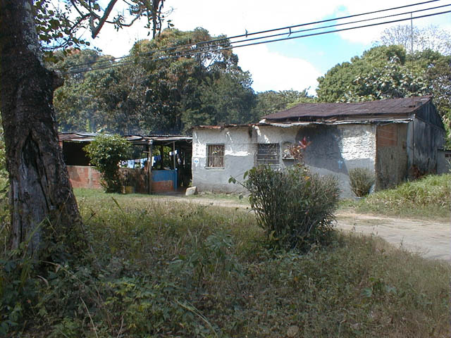 Imagen15